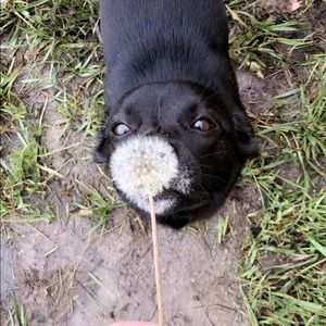 Meet your Posher, Whitney